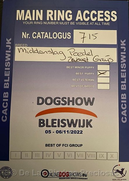 Hondenshow Bleiswijk 5-11-2022