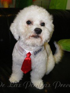 El Louis de las Piedras Preciosas